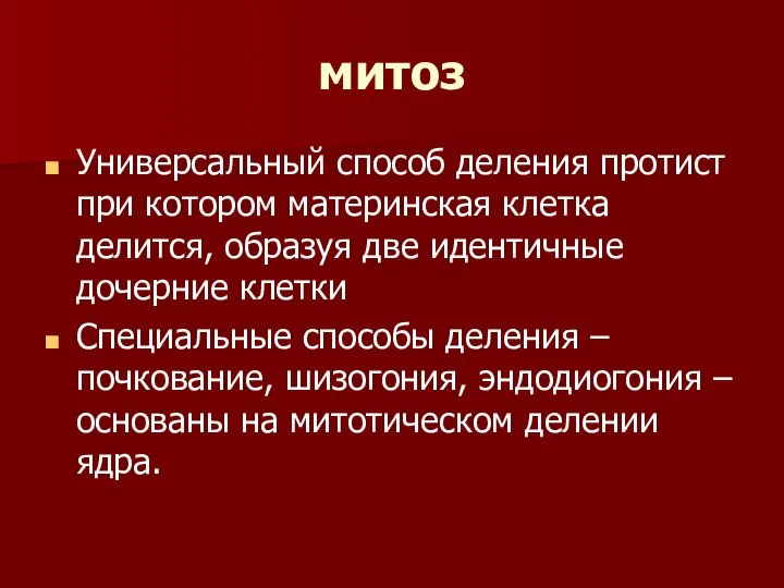 митоз Универсальный способ деления протист при котором материнская клетка делится, образуя