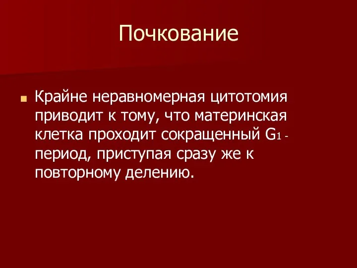 Почкование Крайне неравномерная цитотомия приводит к тому, что материнская клетка проходит