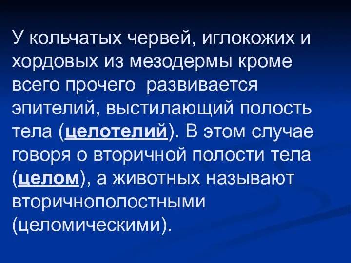 У кольчатых червей, иглокожих и хордовых из мезодермы кроме всего прочего