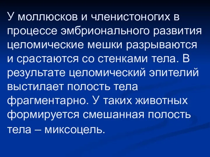 У моллюсков и членистоногих в процессе эмбрионального развития целомические мешки разрываются