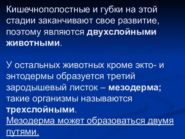 Кишечнополостные и губки на этой стадии заканчивают свое развитие, поэтому являются