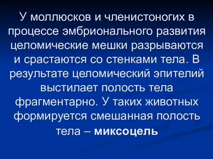 У моллюсков и членистоногих в процессе эмбрионального развития целомические мешки разрываются