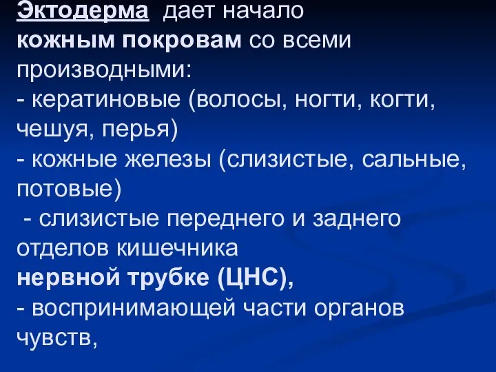 Эктодерма дает начало кожным покровам со всеми производными: - кератиновые (волосы,