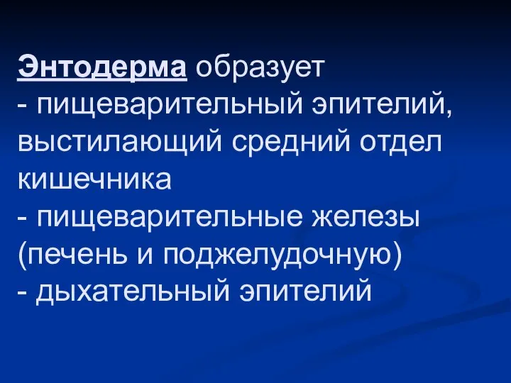 Энтодерма образует - пищеварительный эпителий, выстилающий средний отдел кишечника - пищеварительные