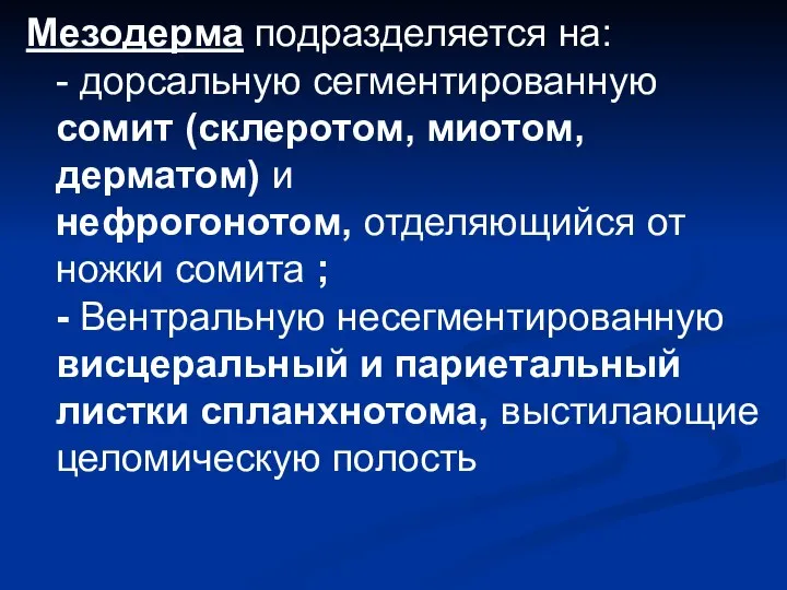 Мезодерма подразделяется на: - дорсальную сегментированную сомит (склеротом, миотом, дерматом) и