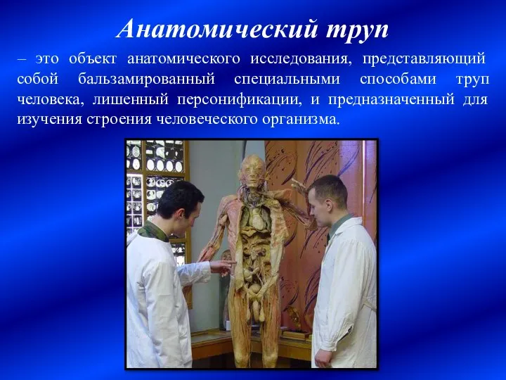 Анатомический труп – это объект анатомического исследования, представляющий собой бальзамированный специальными