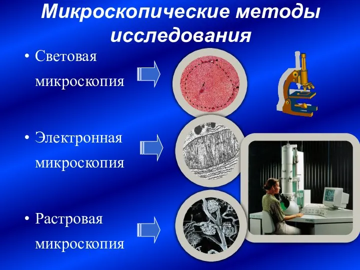 Микроскопические методы исследования Световая микроскопия Электронная микроскопия Растровая микроскопия