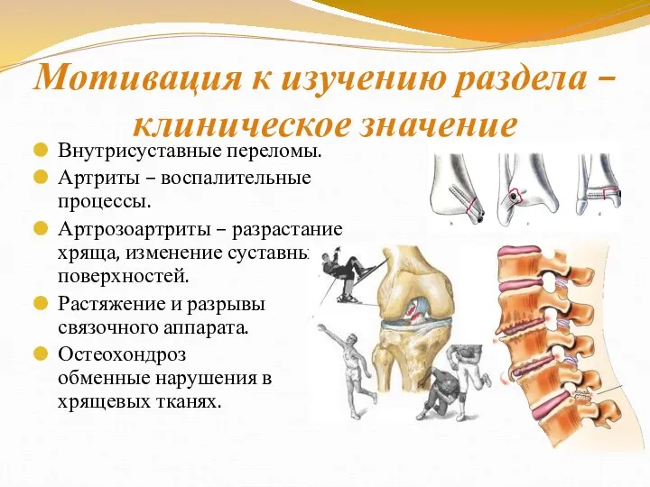 Мотивация к изучению раздела – клиническое значение Внутрисуставные переломы. Артриты –