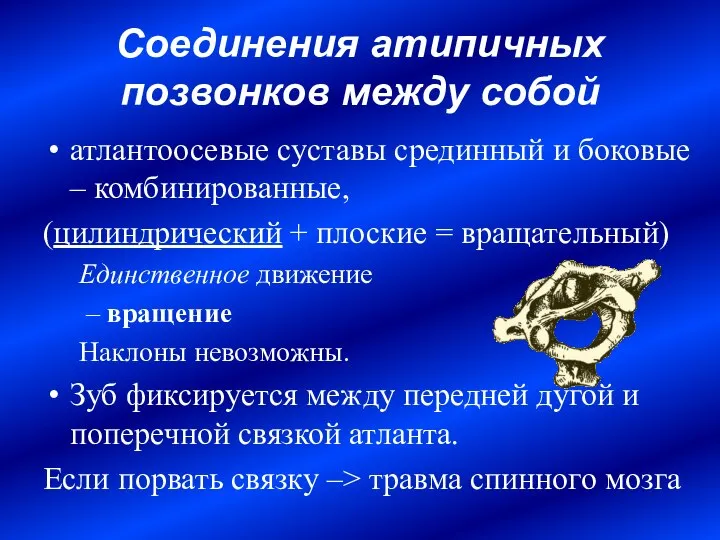 Соединения атипичных позвонков между собой атлантоосевые суставы срединный и боковые –