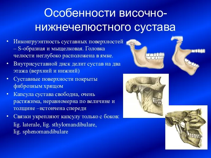 Особенности височно-нижнечелюстного сустава Инконгруэнтность суставных поверхностей – S-образная и мыщелковая. Головка