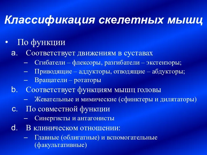 По функции Соответствует движениям в суставах Сгибатели – флексоры, разгибатели –