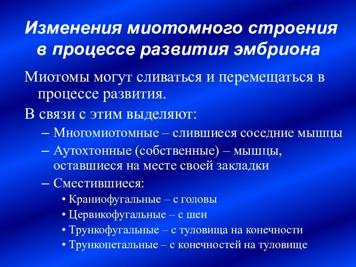 Миотомы могут сливаться и перемещаться в процессе развития. В связи с