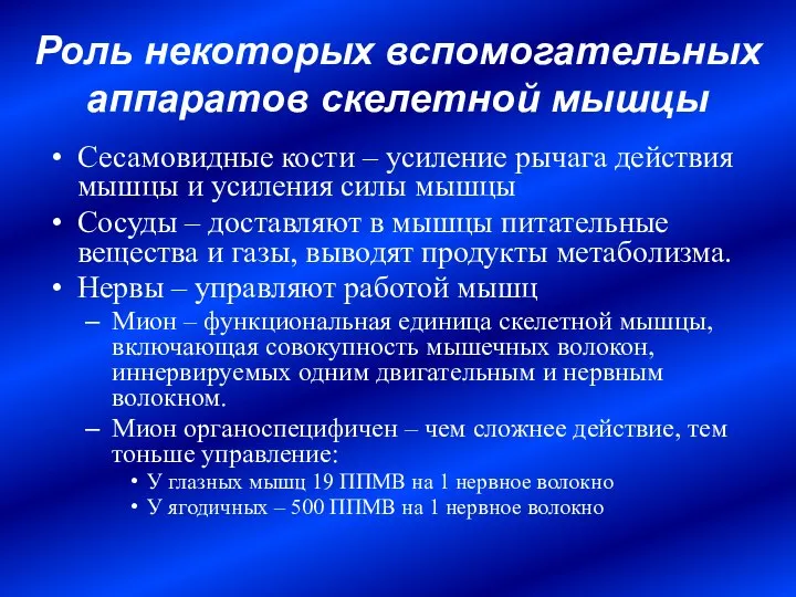 Роль некоторых вспомогательных аппаратов скелетной мышцы Сесамовидные кости – усиление рычага