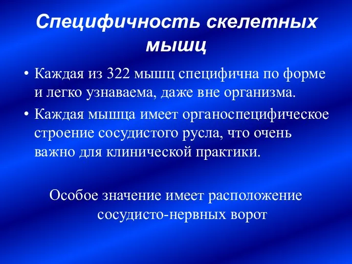 Специфичность скелетных мышц Каждая из 322 мышц специфична по форме и