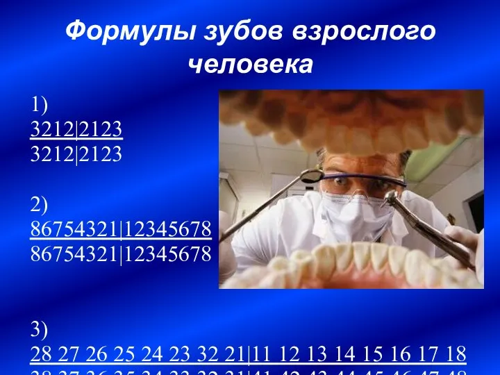 Формулы зубов взрослого человека 1) 3212|2123 3212|2123 2) 86754321|12345678 86754321|12345678 3)