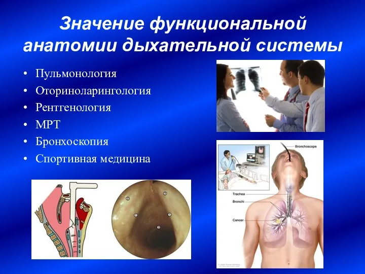 Значение функциональной анатомии дыхательной системы Пульмонология Оториноларингология Рентгенология МРТ Бронхоскопия Спортивная медицина