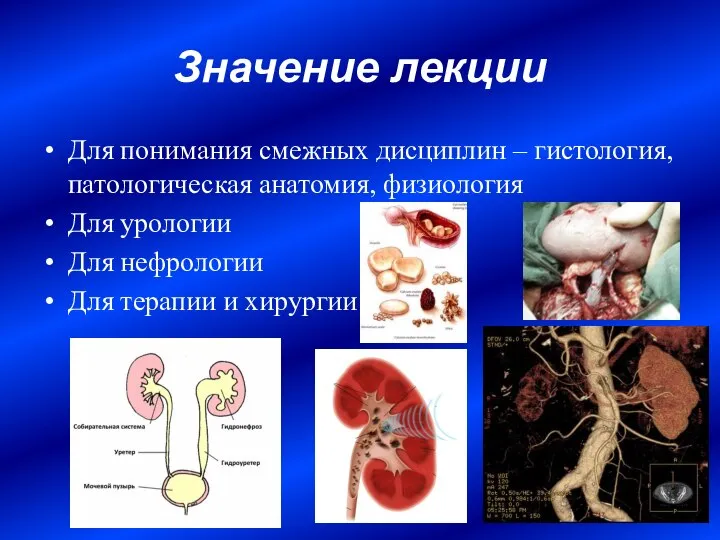 Значение лекции Для понимания смежных дисциплин – гистология, патологическая анатомия, физиология