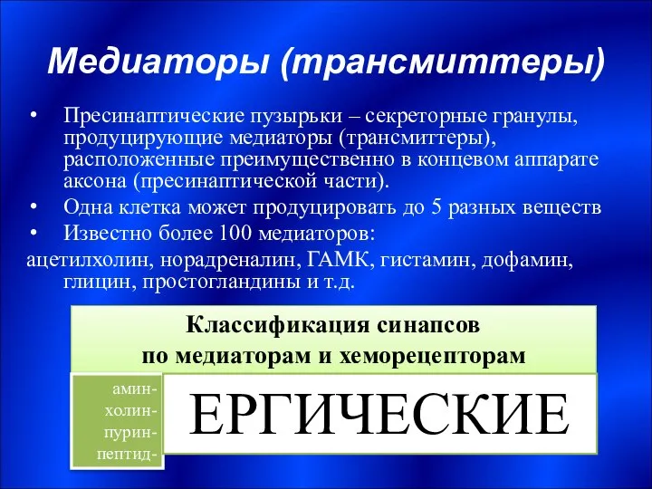 Медиаторы (трансмиттеры) Пресинаптические пузырьки – секреторные гранулы, продуцирующие медиаторы (трансмиттеры), расположенные