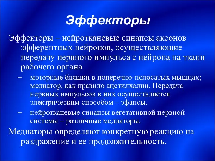 Эффекторы Эффекторы – нейротканевые синапсы аксонов эфферентных нейронов, осуществляющие передачу нервного