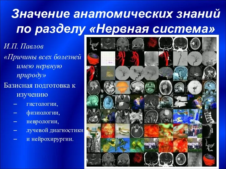 Значение анатомических знаний по разделу «Нервная система» И.П. Павлов «Причины всех