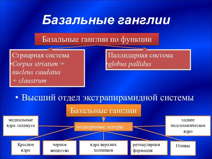 Базальные ганглии Высший отдел экстрапирамидной системы Базальные ганглии Красное ядро черное