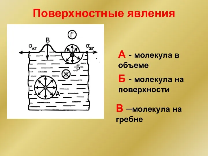 Поверхностные явления А - молекула в объеме Б - молекула на поверхности В –молекула на гребне