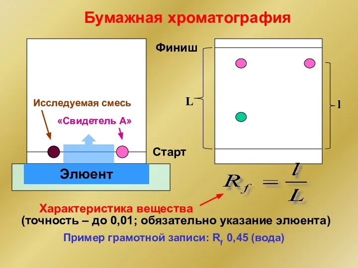 Исследуемая смесь «Свидетель A» Элюент Бумажная хроматография Финиш Старт L l