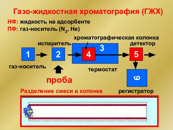 НФ: жидкость на адсорбенте ПФ: газ-носитель (N2, He) Газо-жидкостная хроматография (ГЖХ)