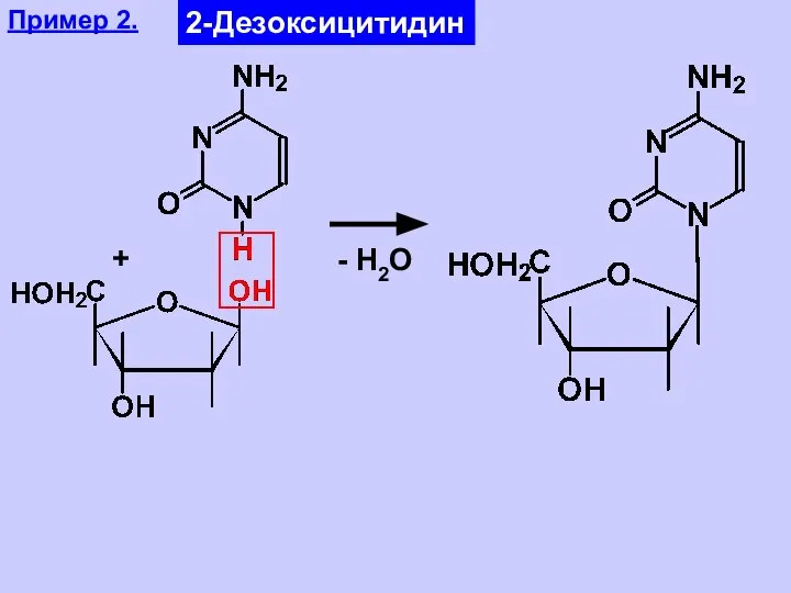 Пример 2. 2-Дезоксицитидин + - Н2О