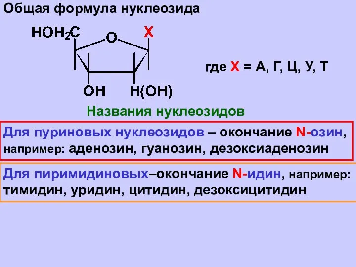 Общая формула нуклеозида где Х = А, Г, Ц, У, Т