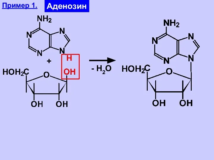 Пример 1. Аденозин + - Н2О