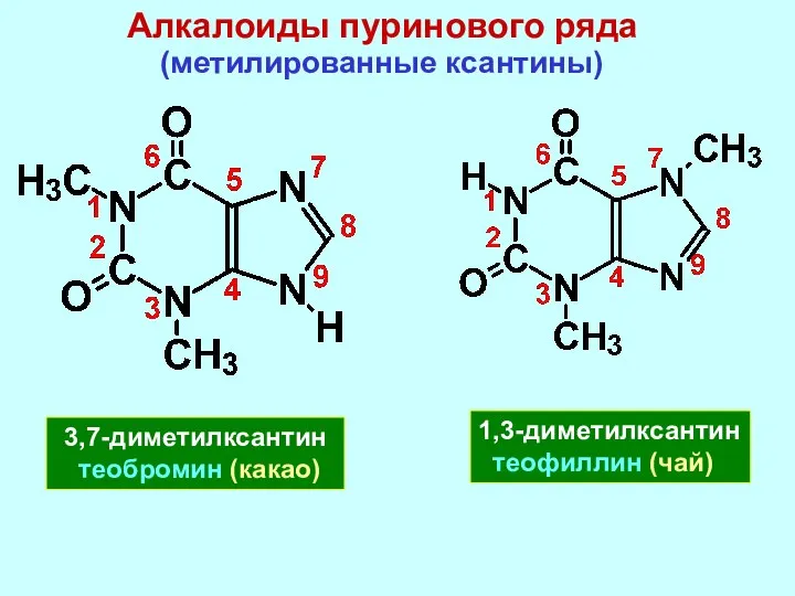 Алкалоиды пуринового ряда (метилированные ксантины) 1,3-диметилксантин теофиллин (чай) 3,7-диметилксантин теобромин (какао)