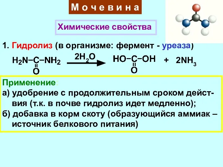 М о ч е в и н а Химические свойства 1.