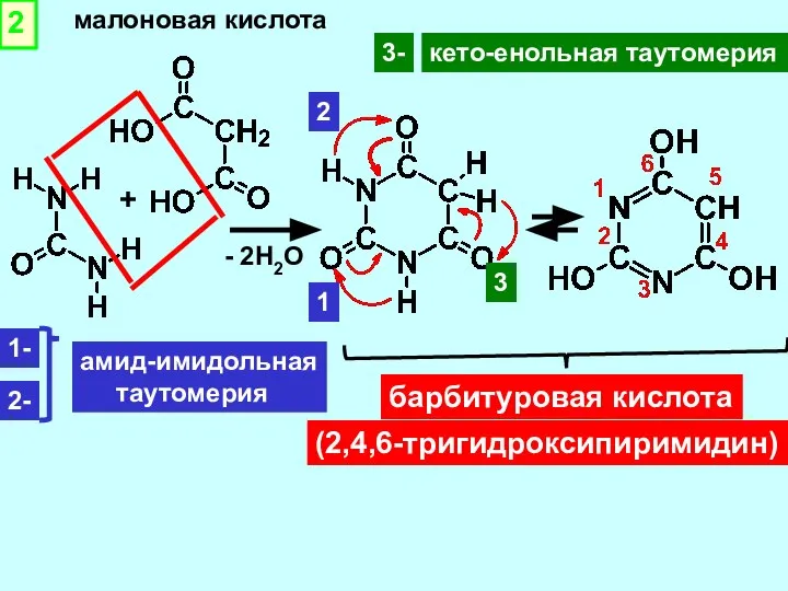 2 + малоновая кислота - 2Н2О барбитуровая кислота 1 2 1-