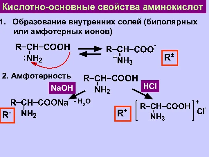 Кислотно-основные свойства аминокислот Образование внутренних солей (биполярных или амфотерных ионов) :