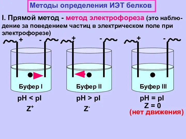 Методы определения ИЭТ белков I. Прямой метод - метод электрофореза (это