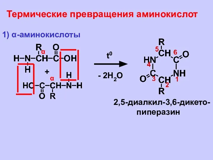 Термические превращения аминокислот 1) α-аминокислоты α α + t0 - 2H2O 2,5-диалкил-3,6-дикето- пиперазин