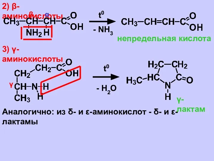 2) β-аминокислоты α β t0 - NH3 непредельная кислота 3) γ-аминокислоты