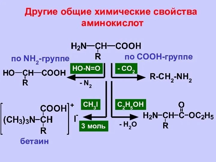 Другие общие химические свойства аминокислот по NH2-группе по СООН-группе - СО2