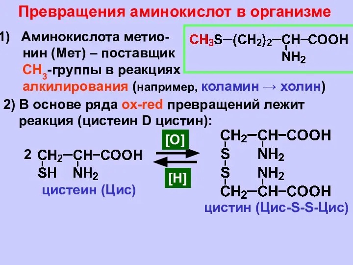 Превращения аминокислот в организме Аминокислота метио- нин (Мет) – поставщик СН3-группы