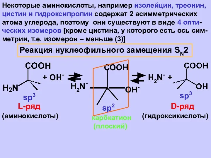 Некоторые аминокислоты, например изолейцин, треонин, цистин и гидроксипролин содержат 2 асимметрических