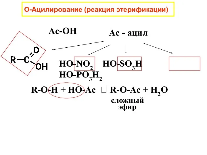 О-Ацилирование (реакция этерификации) Ac-OH Ac - ацил HO-NO2 HO-SO3H HO-PO3H2 R-O-H