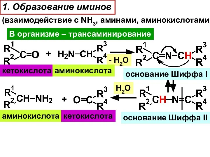 1. Образование иминов (взаимодействие с NH3, аминами, аминокислотами) В организме –