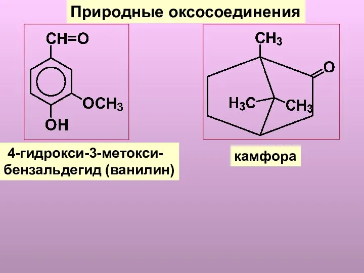 Природные оксосоединения 4-гидрокси-3-метокси- бензальдегид (ванилин) камфора