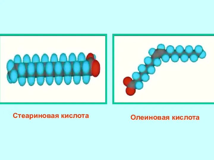 Стеариновая кислота Олеиновая кислота