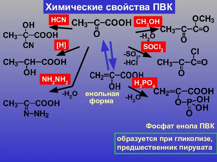 Химические свойства ПВК СН3ОН -Н2О SOCl2 -SO2, -HCl НCN NH2NH2 [Н]