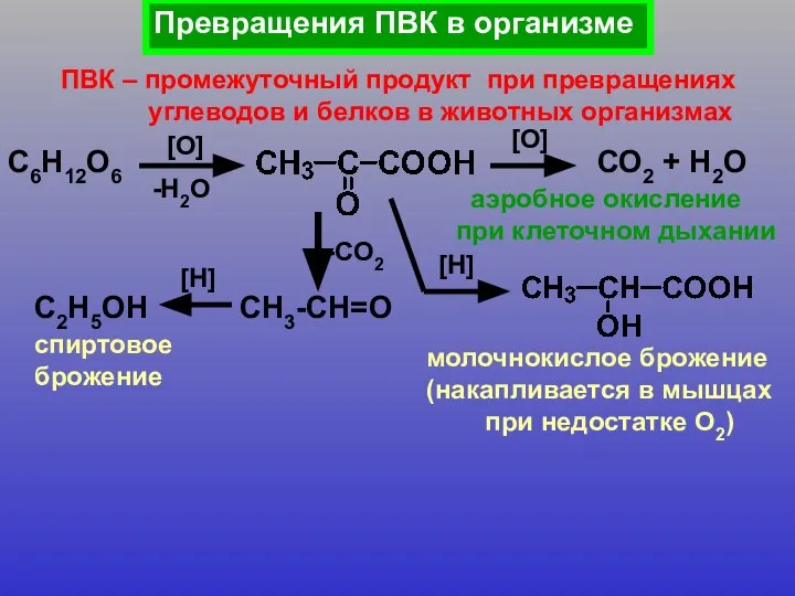 Превращения ПВК в организме ПВК – промежуточный продукт при превращениях углеводов