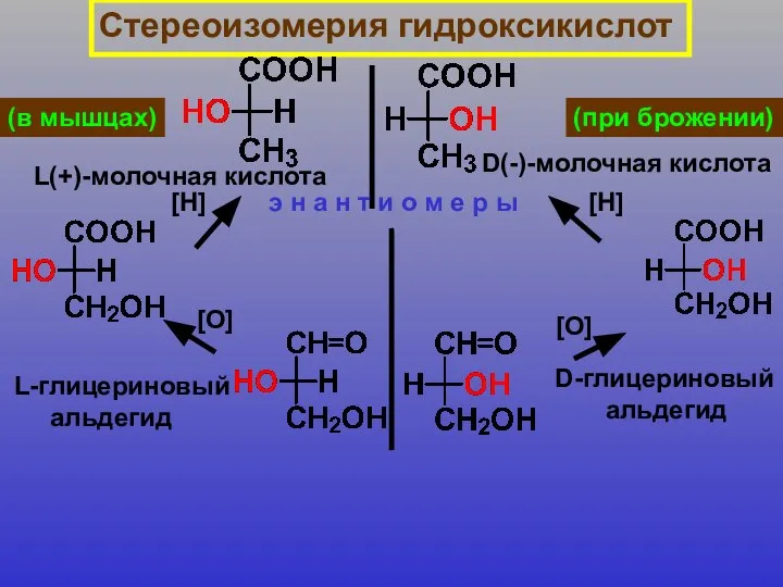 Стереоизомерия гидроксикислот L(+)-молочная кислота D(-)-молочная кислота (в мышцах) (при брожении) L-глицериновый