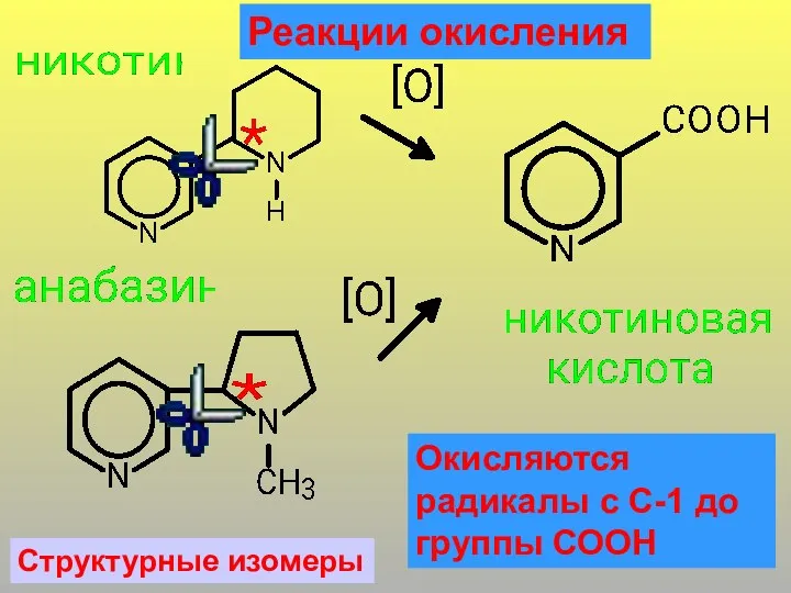 Структурные изомеры Реакции окисления Окисляются радикалы с С-1 до группы СООН