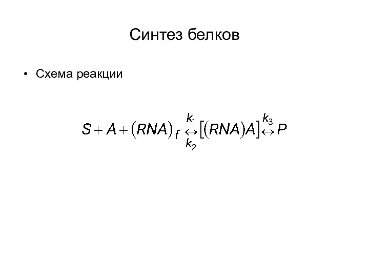 Синтез белков Схема реакции